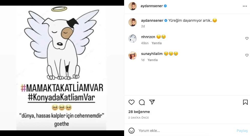 Konya'daki vahşet görüntüleri sosyal medyayı ayağa kaldırdı! Ünlü isimlerden tepki üstüne tepki yağdı 16