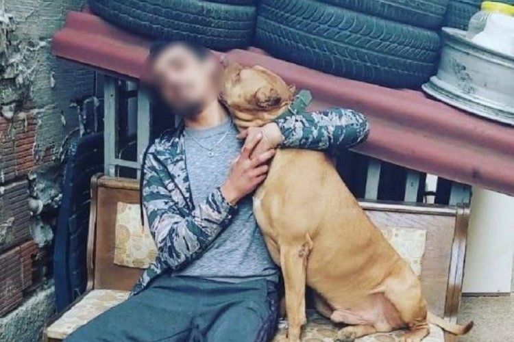 Pitbull ile denize girdikten sonra ölmüştü... Savcılıktan dikkat çeken karar: Kendi rızası ile girdi! 2