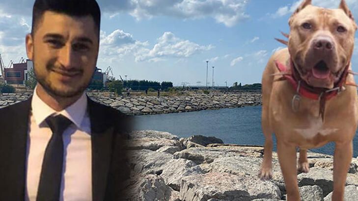 Pitbull ile denize girdikten sonra ölmüştü... Savcılıktan dikkat çeken karar: Kendi rızası ile girdi! 1