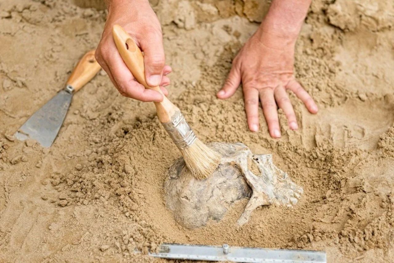 İzlandalı bilim insanları 500 yıl önce ölen kadının yüzünü yeniden canlandırdı 4