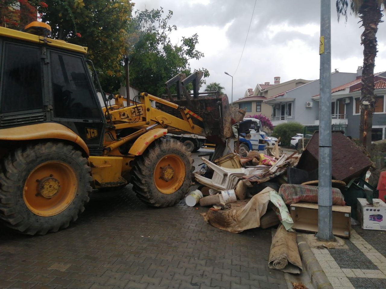 Evinden çok sayıda kedi ve köpek ölüsü çıkan kadın akıl hastanesine sevk edildi 4