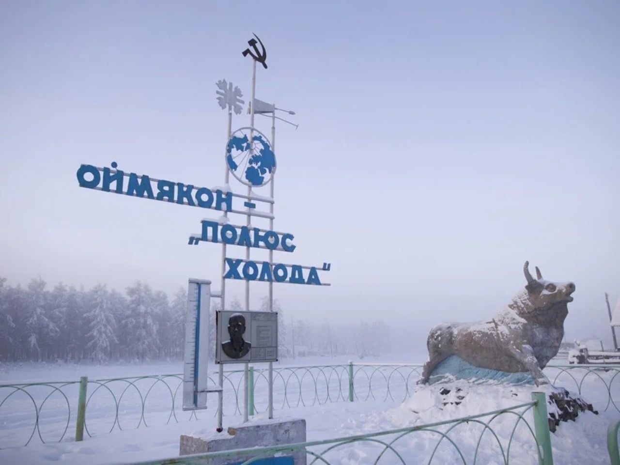 Hava durumu - 51°! İşte dünyanın en soğuk şehri: Rusya Yakutsk 4