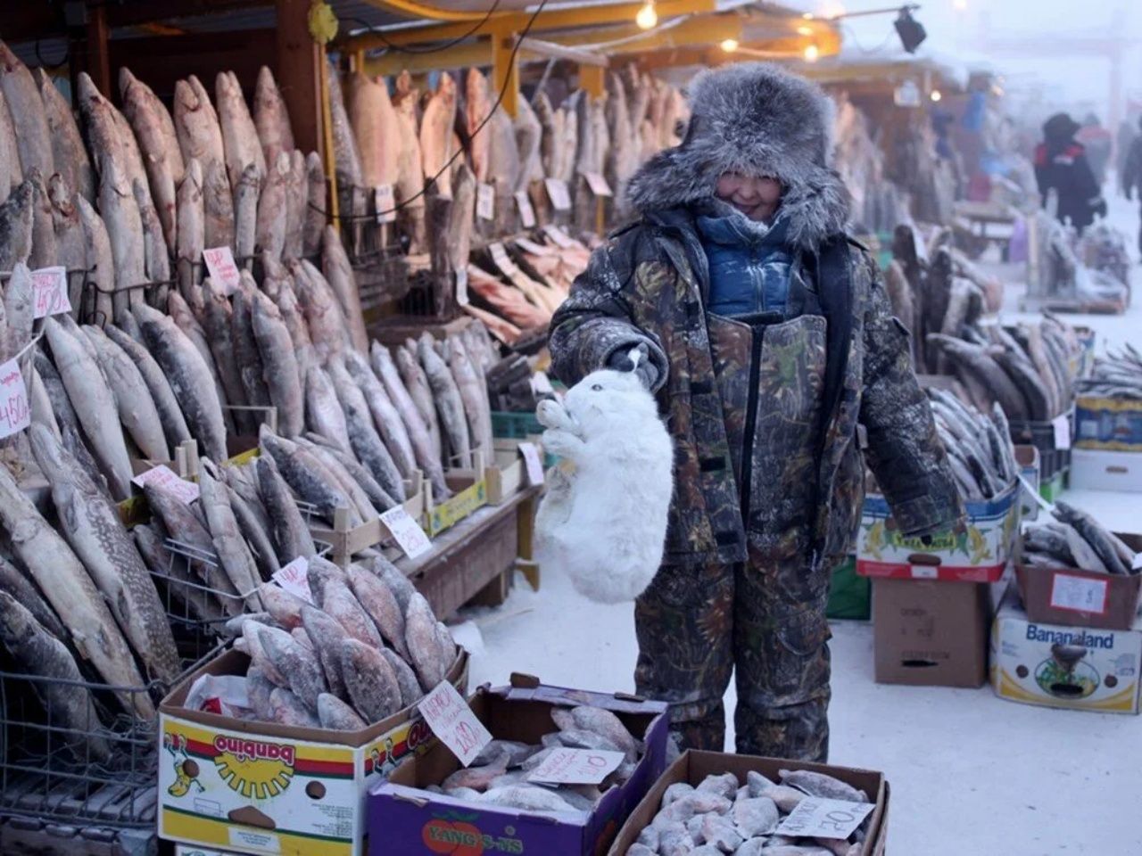 Hava durumu - 51°! İşte dünyanın en soğuk şehri: Rusya Yakutsk 3