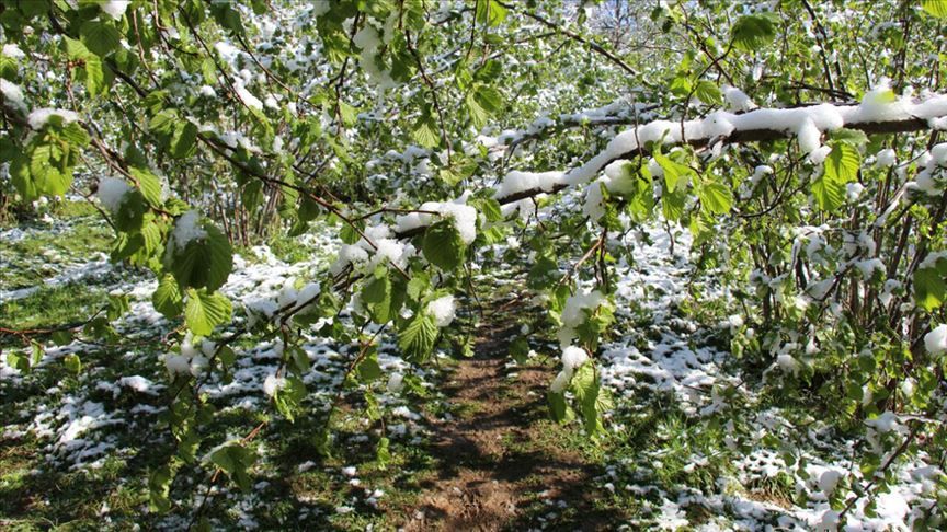 İzmir'de hava sıcaklığı eksilere inecek! Zirai dona dikkat! 3