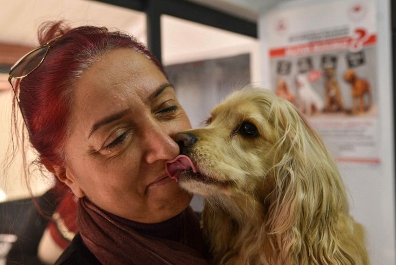 31 Aralık son gün! Evcil hayvanına çip taktırmayan yandı! Veterinerler uyarıyor... 6