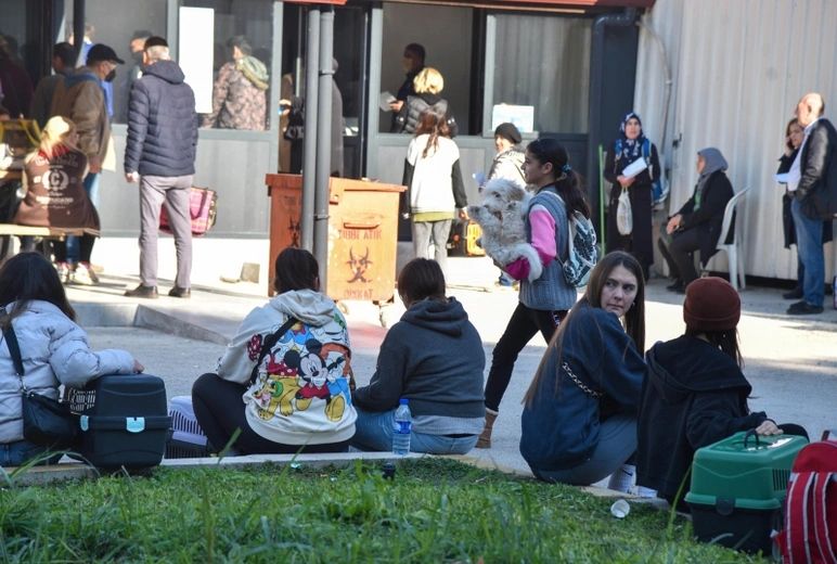 31 Aralık son gün! Evcil hayvanına çip taktırmayan yandı! Veterinerler uyarıyor... 7