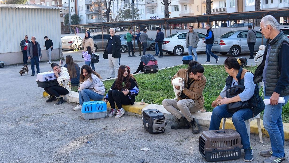 31 Aralık son gün! Evcil hayvanına çip taktırmayan yandı! Veterinerler uyarıyor... 5