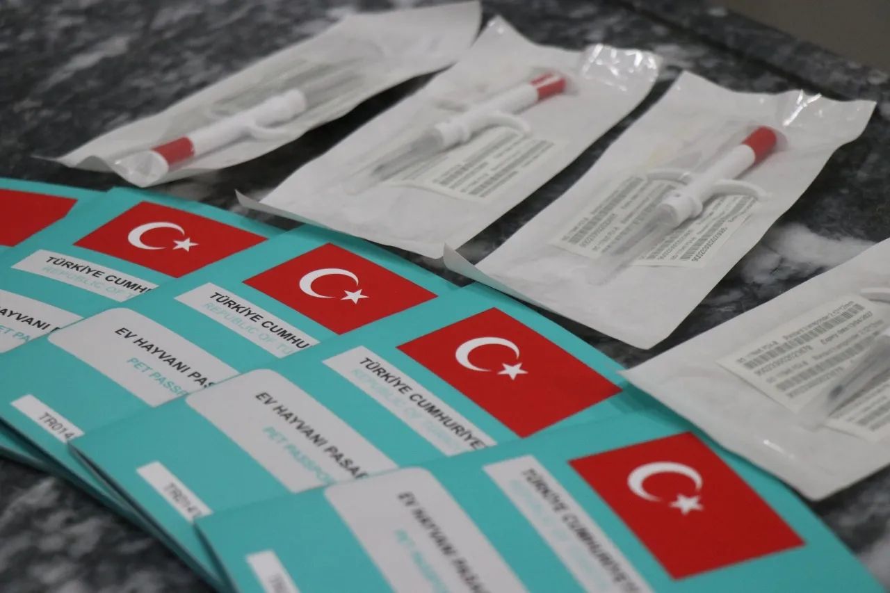 31 Aralık son gün! Evcil hayvanına çip taktırmayan yandı! Veterinerler uyarıyor... 4