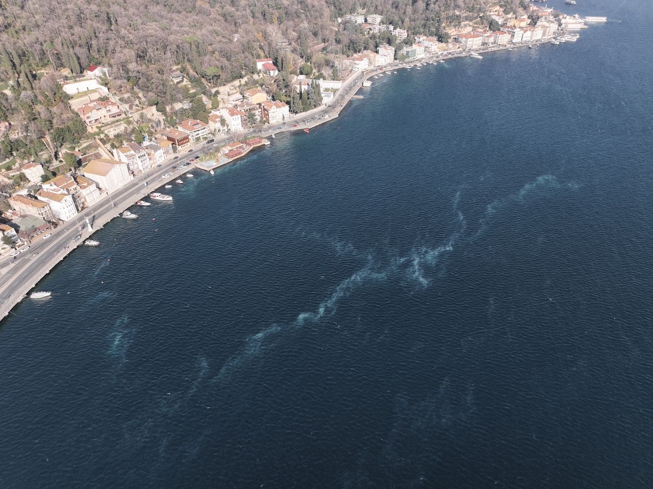 İstanbul Sarıyer sahilinde şok görüntü! Kirlilikten istila ettiler... 8