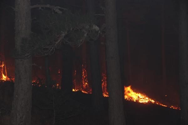 Kaz Dağları'nda korkutan yangın! 3