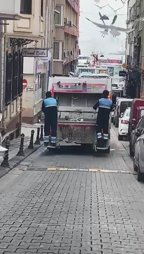Onlarca martı çöp kamyonunun peşine takıldı! Balık atıklarını yemek için adeta birbirleriyle yarıştı 2