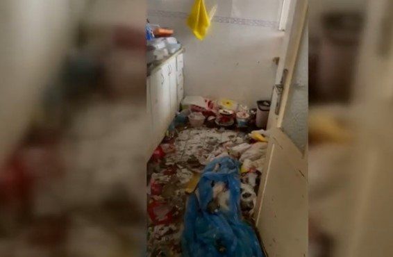 Bir çöp ev skandalı daha: İstanbul Eyüpsultan'da çöp evden 3 çocuk çıktı! 3