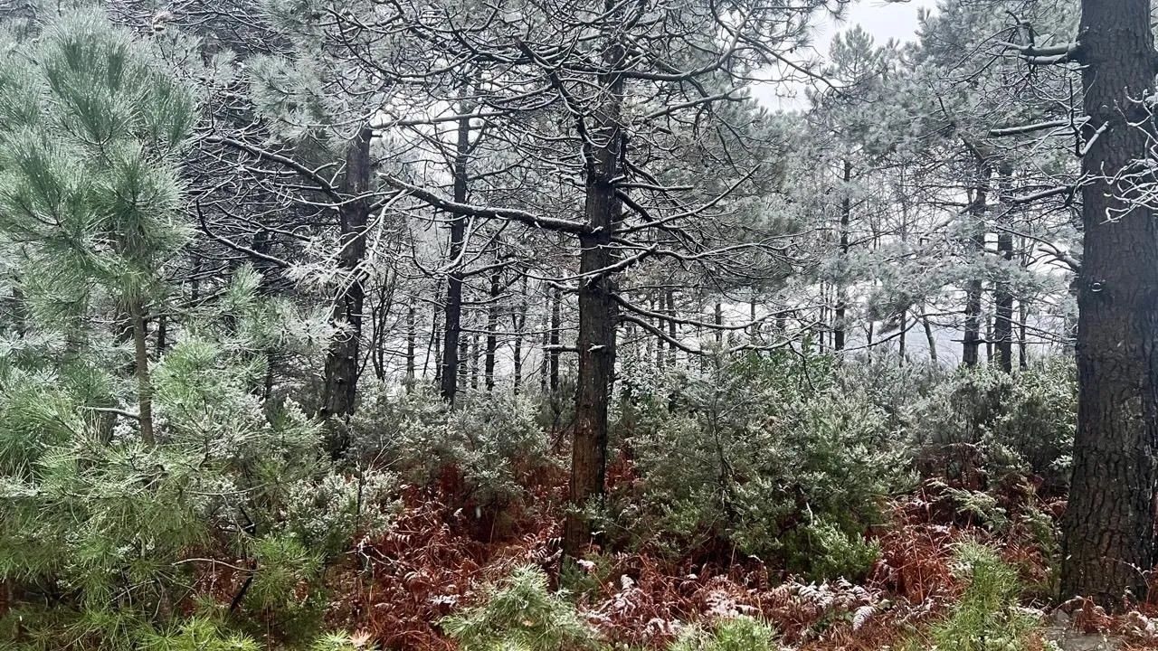 Birçok kent beyaza büründü! İşte yurttan kar manzaraları 5