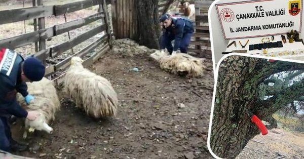 İYİ Partili belediyedeki rüşvet skandalının detayları belli oldu! Koyun hırsızına imar kıyağı... 2