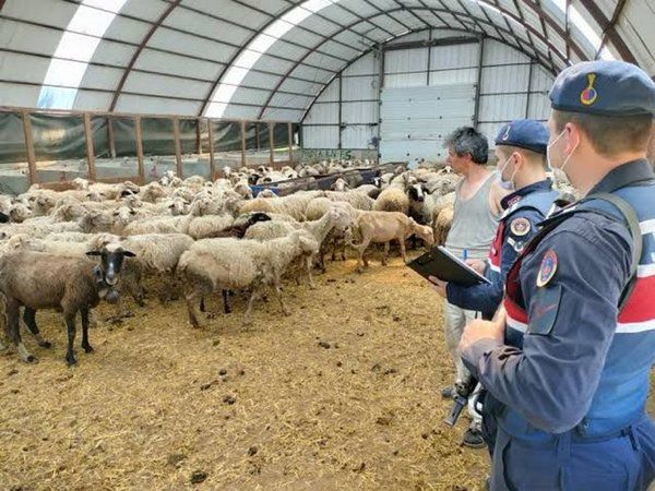 İYİ Partili belediyedeki rüşvet skandalının detayları belli oldu! Koyun hırsızına imar kıyağı... 3