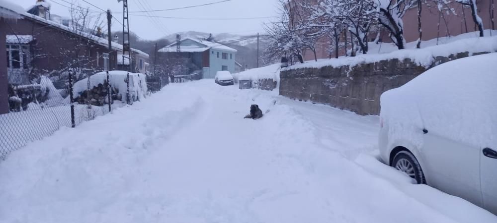 Sivas, Hakkari, Tunceli... Ulaşıma kar engeli! Yollar kapandı 8