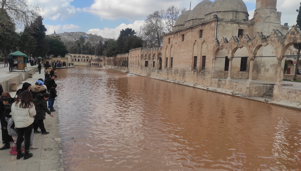 Balıklıgöl'ün rengi deprem felaketinin ardından çamur rengine döndü 6