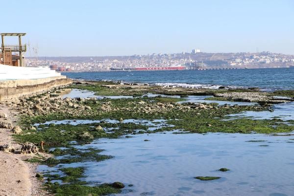 Tekirdağ'da deniz 25 metre çekildi 3