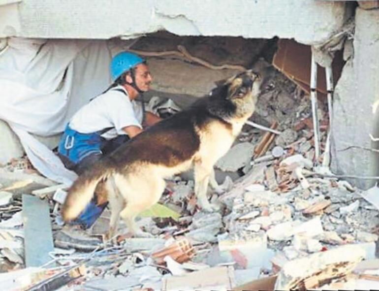 Gölcük depreminde gelmişti, yine geldi: Macar Laszlo Lehoczki Kahramanmaraş depreminde de yardımımıza koştu 2