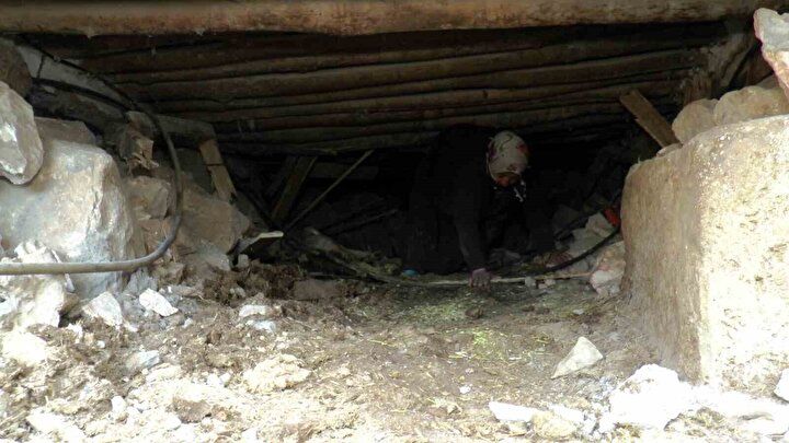 Gülümseten görüntü: İneğini kurtarabilmek için enkazın altına girdi! Her gün yemini ve suyunu verdi 3