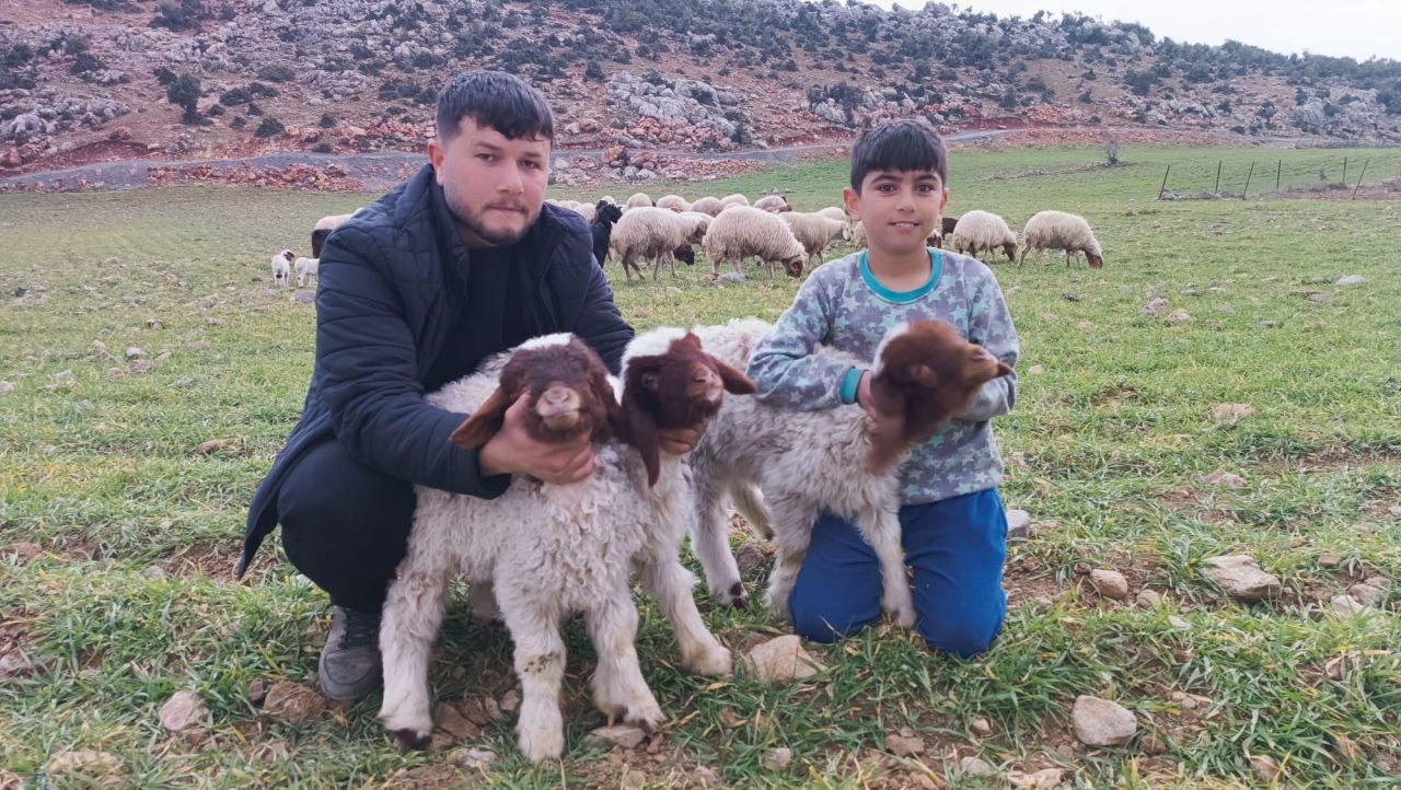 Depremden 11 gün sonra kurtulan kuzuları yaralarını sardı! 2