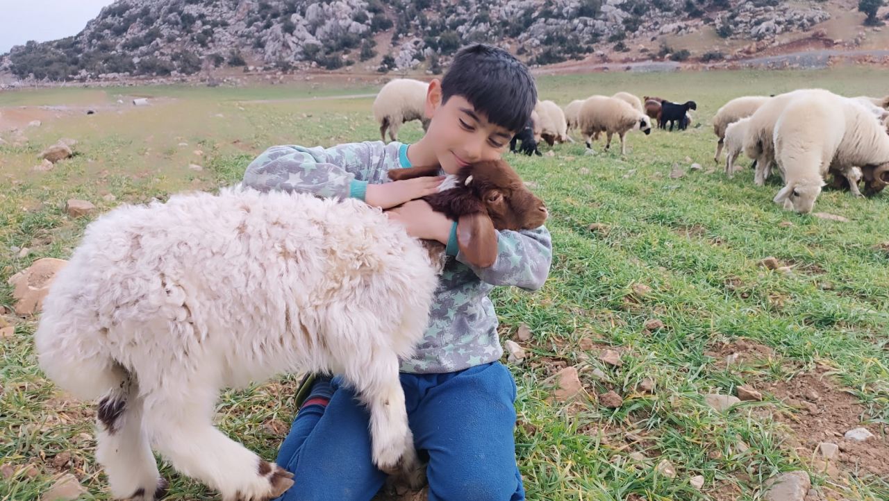 Depremden 11 gün sonra kurtulan kuzuları yaralarını sardı! 6