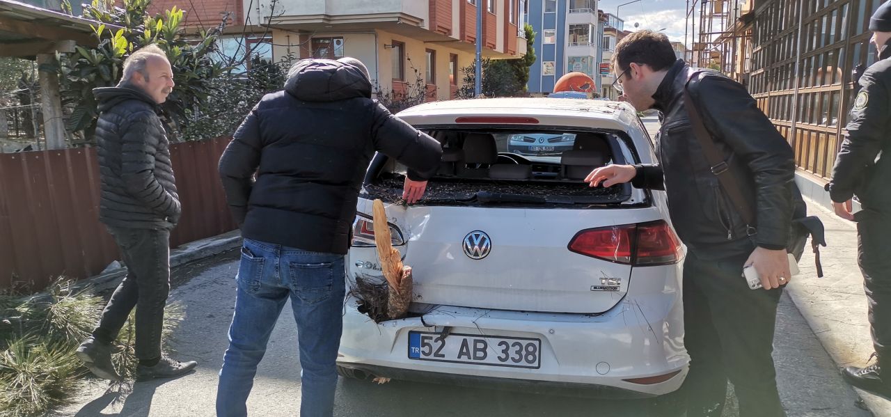 Fırtınanın etkisiyle devrilen ağaç, otomobil ve iş yerine zarar verdi 2