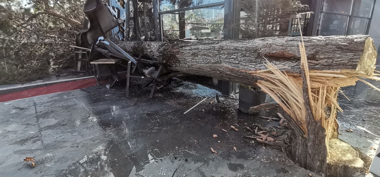 Fırtınanın etkisiyle devrilen ağaç, otomobil ve iş yerine zarar verdi 3
