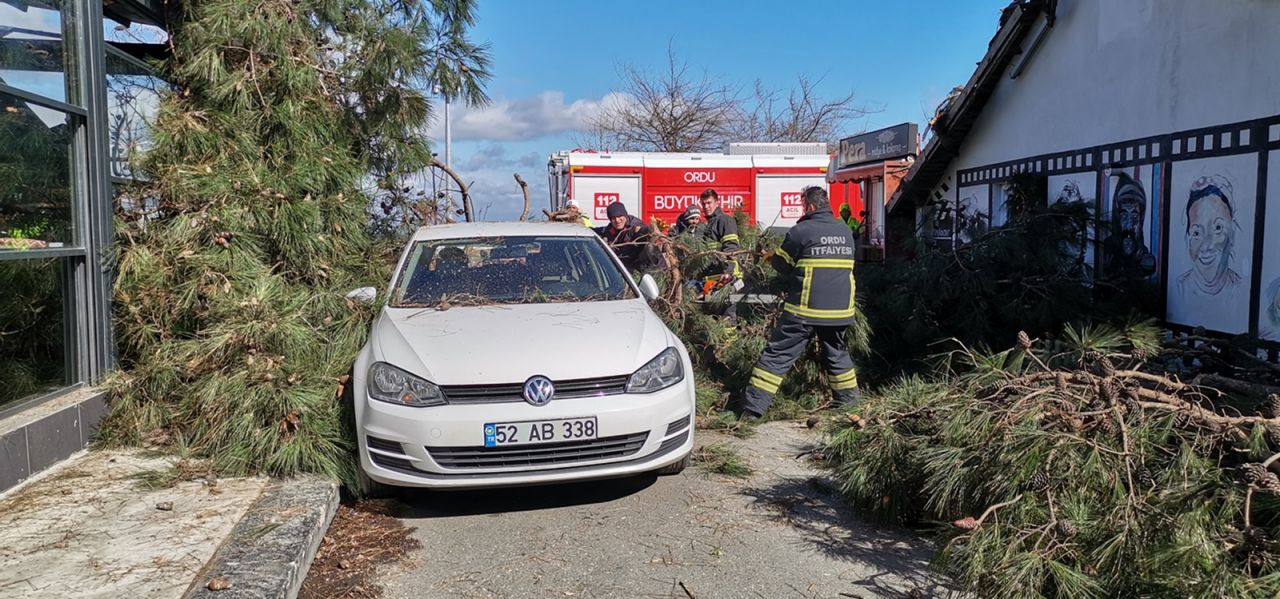 Fırtınanın etkisiyle devrilen ağaç, otomobil ve iş yerine zarar verdi 5