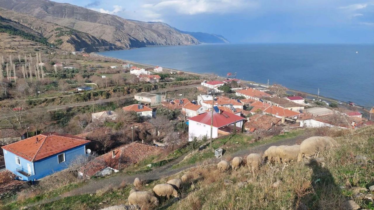 111 yıldır uyuyan canavar buradan karaya çıkıyor... 6