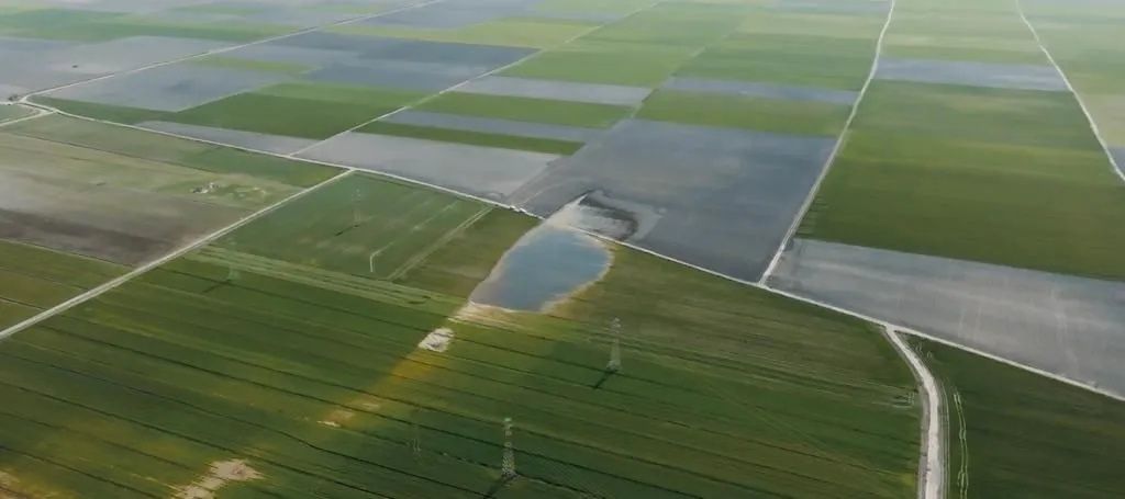 Deprem sonrası bataklık gölü oluştu! 3