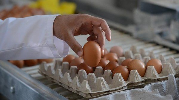 Canan Karatay 'Süper besin' diyerek açıkladı! 3