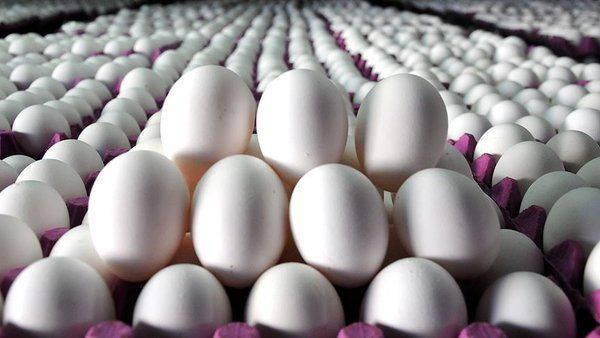 Canan Karatay 'Süper besin' diyerek açıkladı! 5