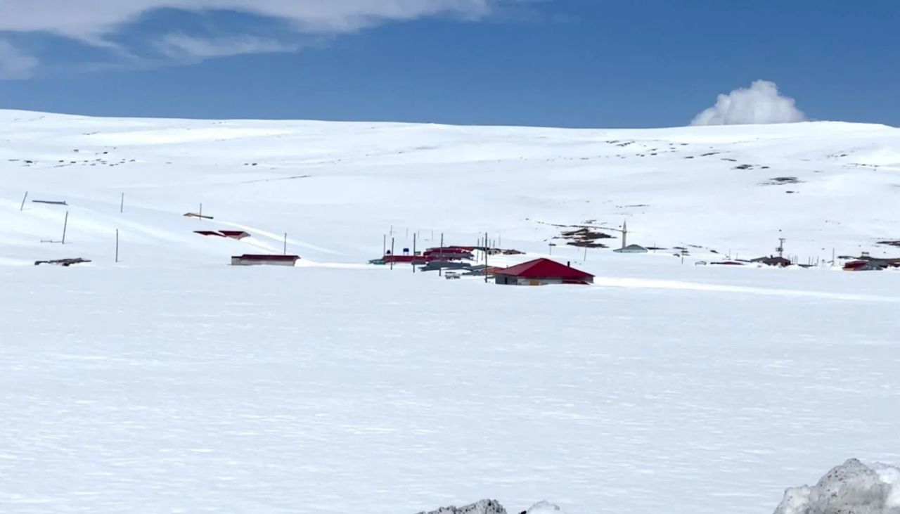 O ilimizde kar erimedi! Evler, yollar kar altında kaldı 3