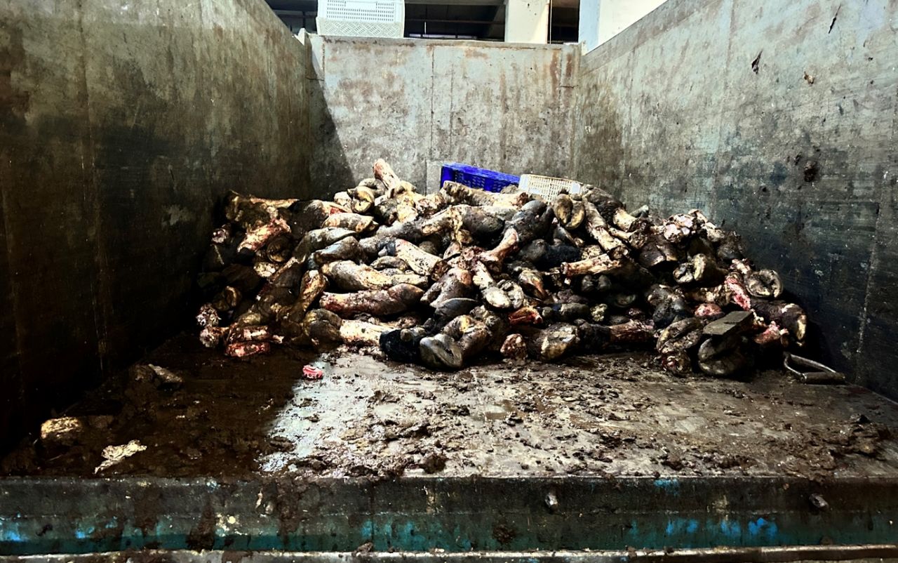 İstanbul'daki et halinden gelen görüntüler mide bulandırdı! Hijyen kurallarından eser yok: Bakteriyel enfeksiyon riski 1