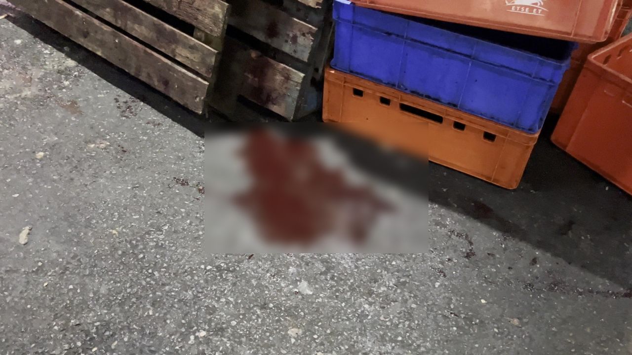 İstanbul'daki et halinden gelen görüntüler mide bulandırdı! Hijyen kurallarından eser yok: Bakteriyel enfeksiyon riski 7