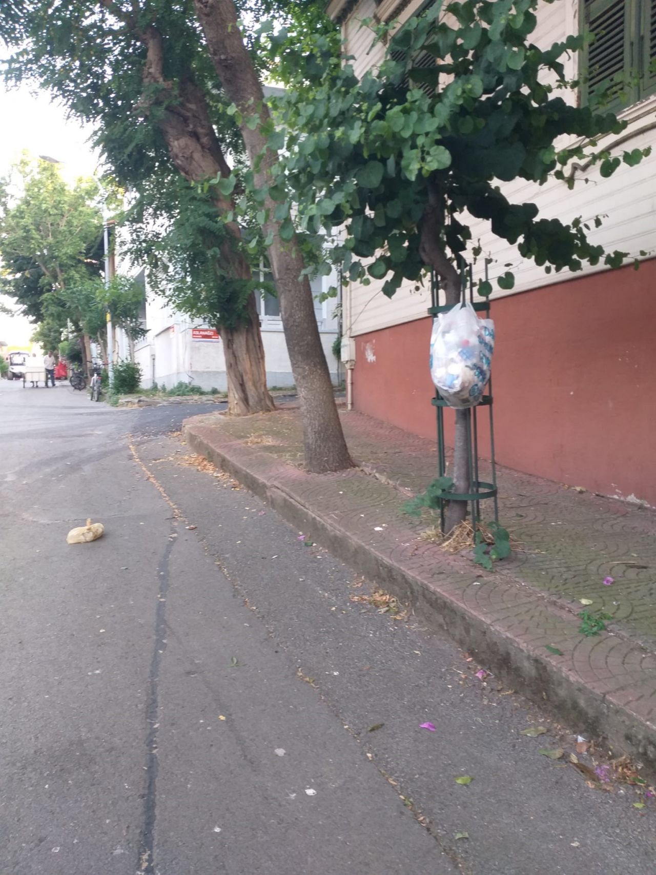 CHP'li Adalar Belediyesi, vatandaşların çöp yığınları içinde denize girmesine göz yumdu! 7