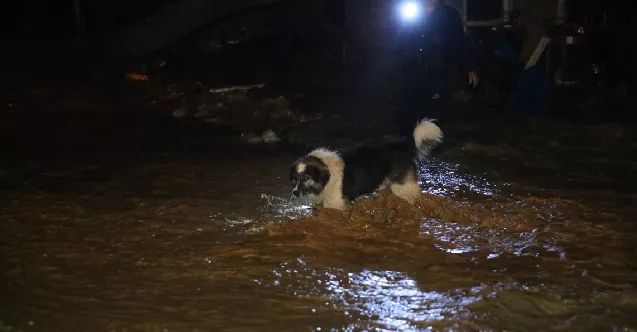 Karadeniz'de sel felaketi... Dereler taştı, yollar kapandı! 1 kişi hayatını kaybetti... 3