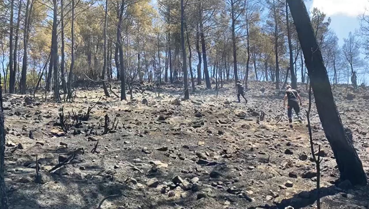 Muğla'da 3 saatte 6 orman yangını! 6