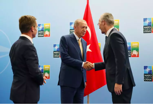 Litvanya'da Erdoğan sevgisi! İşte dikkat çeken kareler... 12