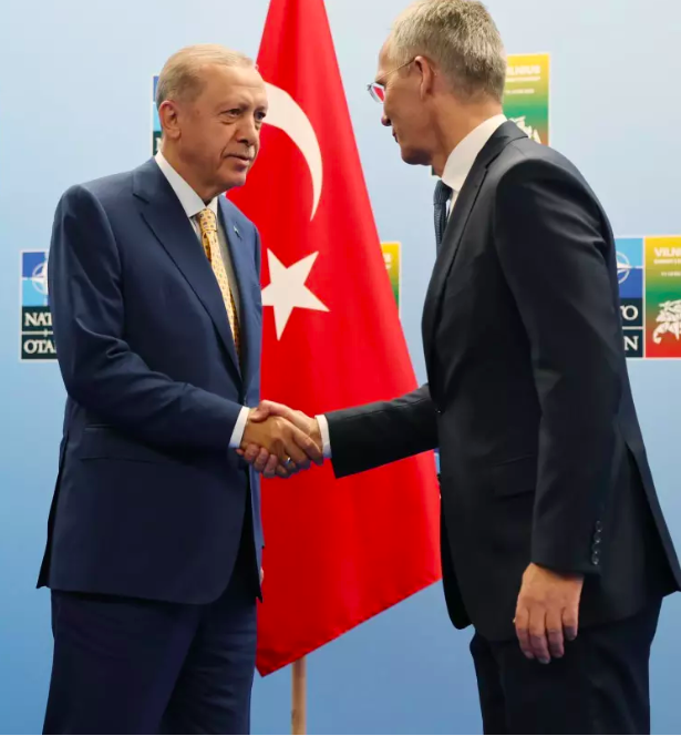 Litvanya'da Erdoğan sevgisi! İşte dikkat çeken kareler... 11
