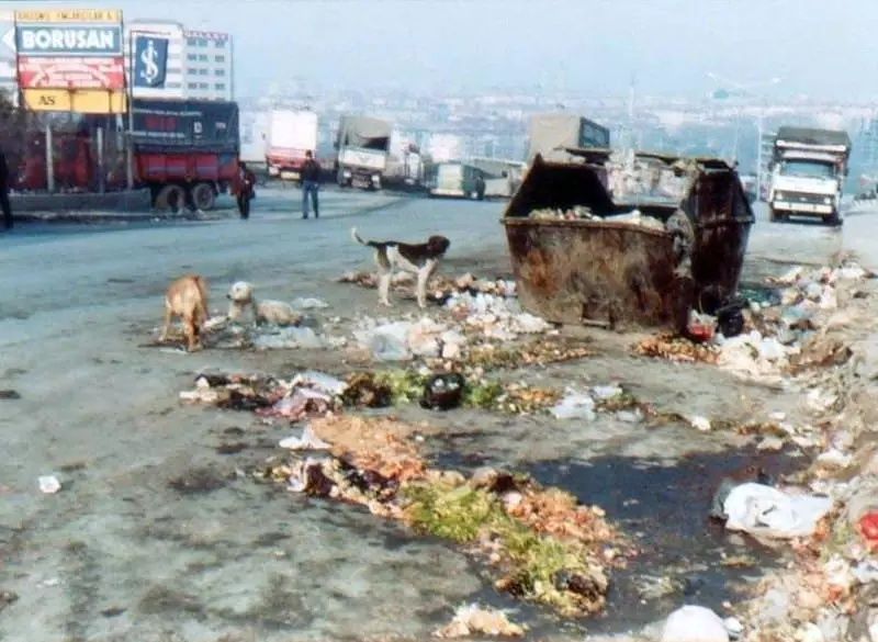 İstanbul'un çöp dağları geri döndü: İmamoğlu koltuk peşinde koşarken, İstanbul'un hali 30 yıl öncesine döndü 10