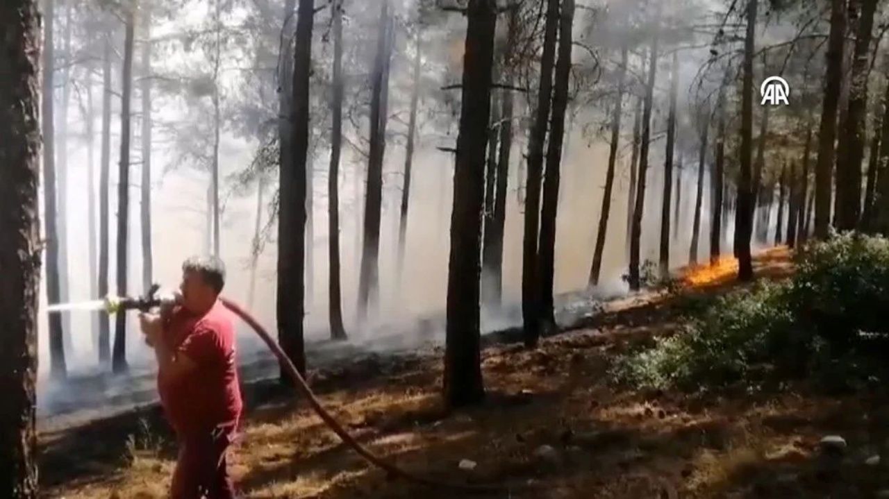 İzmir, Muğla ve Kahramanmaraş’ta orman yangını 9