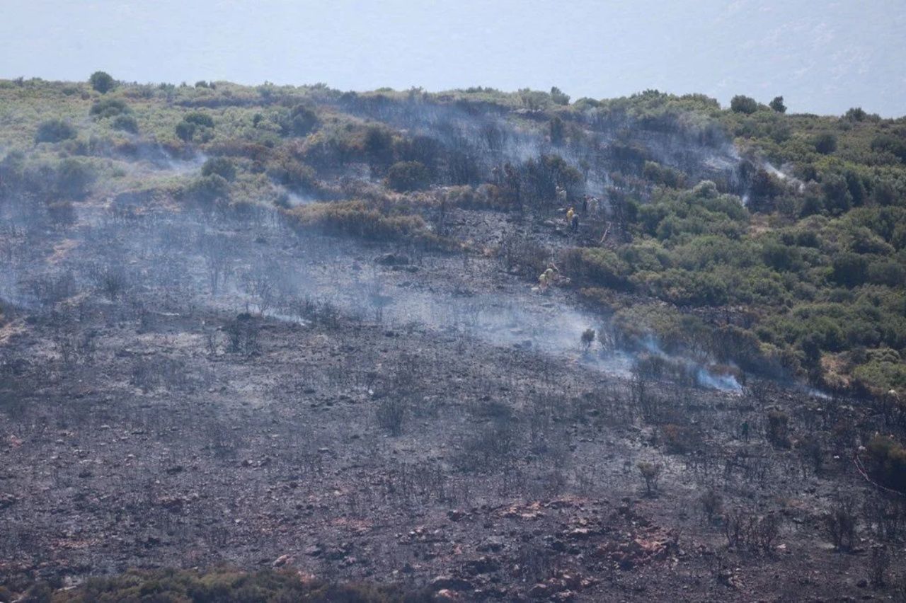 İzmir, Muğla ve Kahramanmaraş’ta orman yangını 5