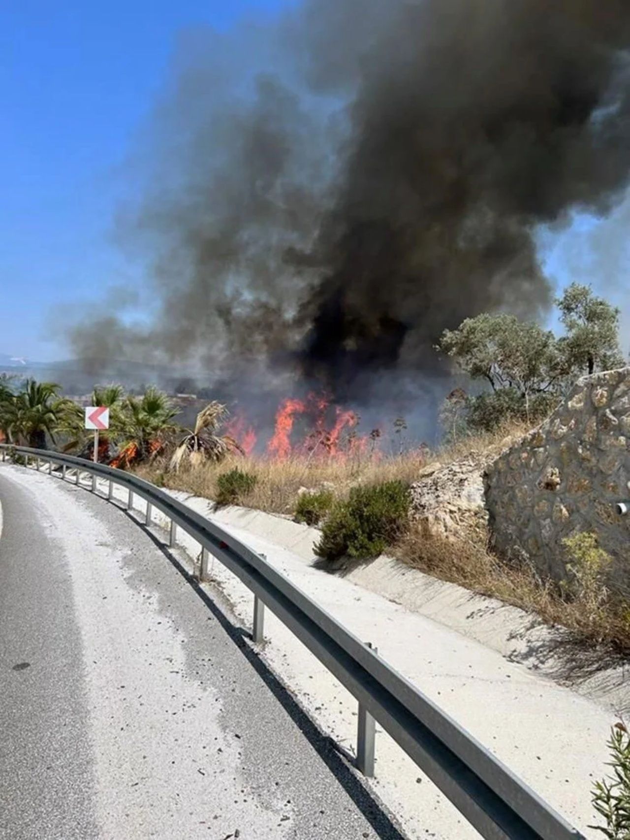 İzmir, Muğla ve Kahramanmaraş’ta orman yangını 3