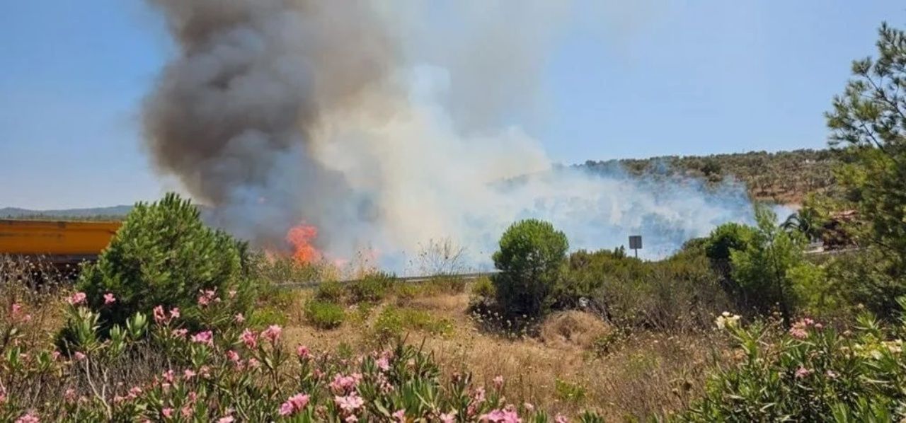 İzmir, Muğla ve Kahramanmaraş’ta orman yangını 2