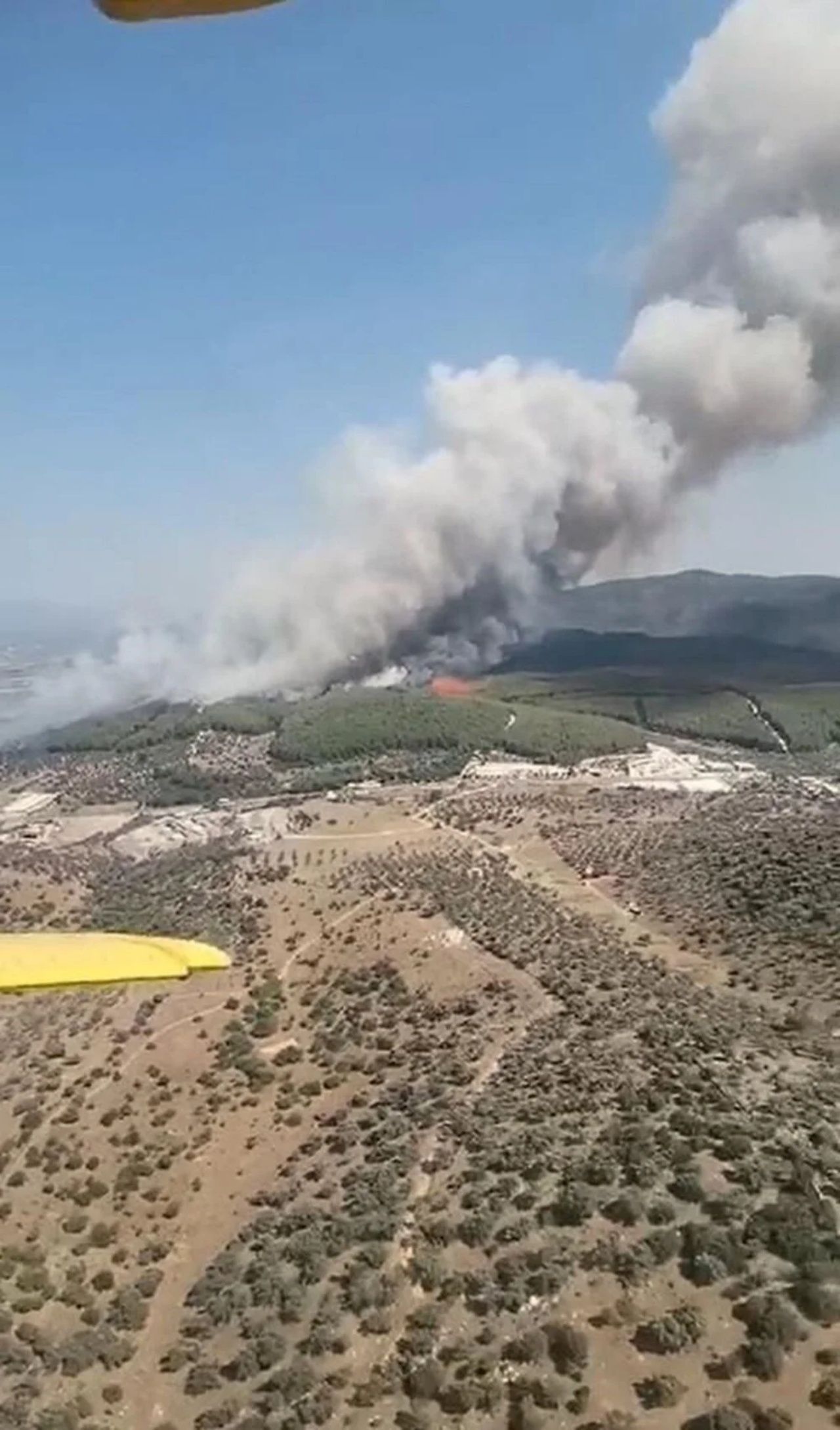 İzmir, Muğla ve Kahramanmaraş’ta orman yangını 1