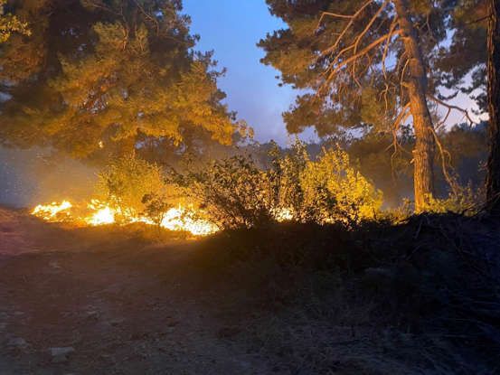 Hatay'ın ardından 3 ilde daha orman yangını 3