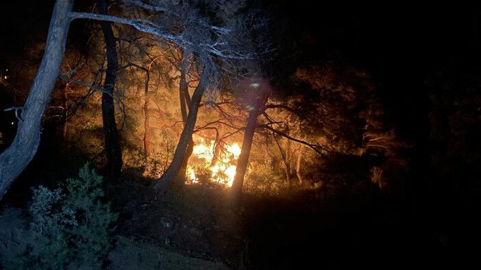 Türkiye'nin ciğerleri yanıyor: İzmir, Antalya ve Çanakkale'de mücadele sürüyor! İşte orman yangınlarında son durum... 3