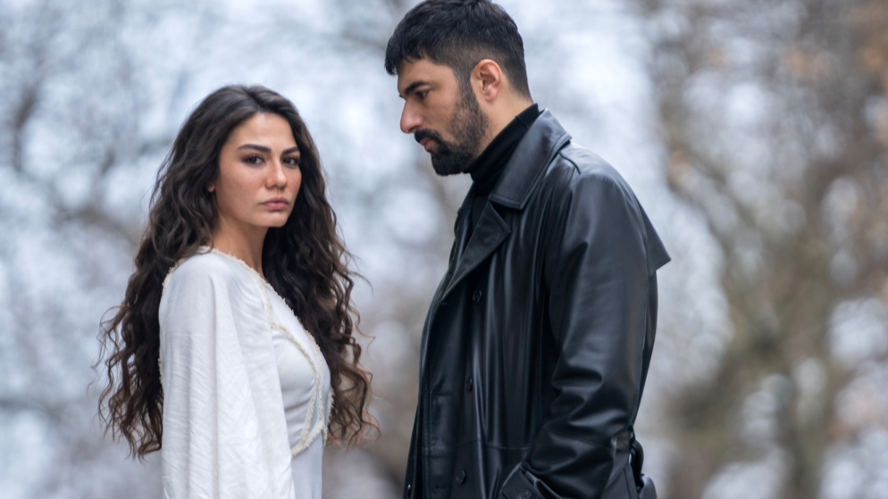 Hepsi birbirinden ünlü! Dizilerin favori çiftlerinin bölüm başına kazandığı ücret dudak uçuklattı: İşte en çok kazanan ikili 4
